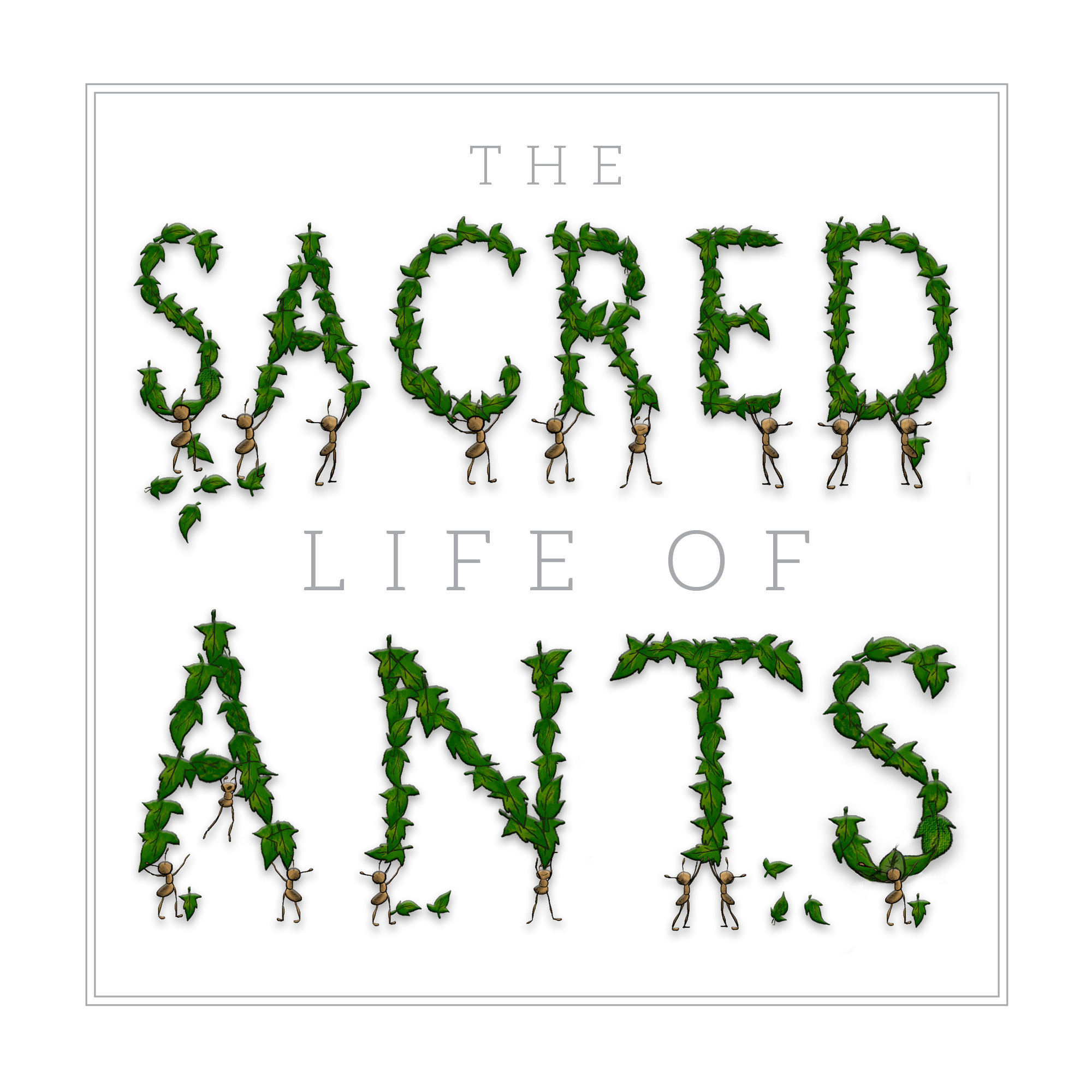 sacred ant